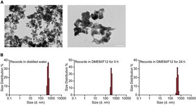 Silica Nanoparticles Promote α-Synuclein Aggregation and Parkinson’s Disease Pathology